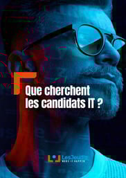 LJ_que_cherchent_les_candidats_IT